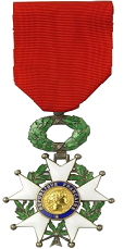 Scenario Participation Medal